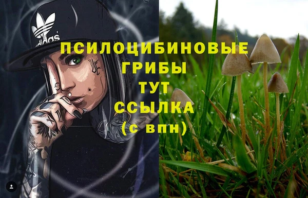 MDMA Premium VHQ Армянск