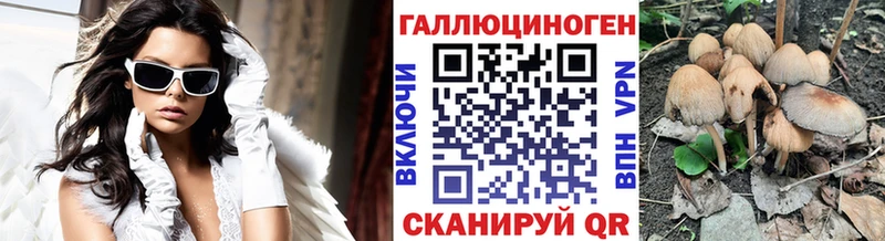 Псилоцибиновые грибы прущие грибы  купить наркоту  KRAKEN tor  Губаха 